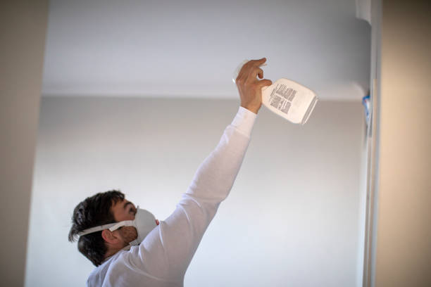 Best Mold Testing  in Ambridge, PA