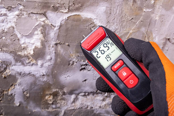 Best Home Mold Removal  in Ambridge, PA