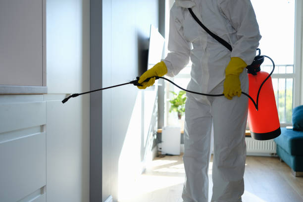 Best Crawl Space Mold Removal  in Ambridge, PA